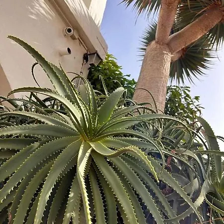 Appartement Opuncja San Miguel de Abona