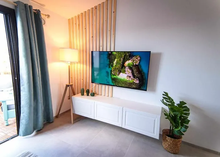 Opuncja * سان ميغيل ذي أبونا