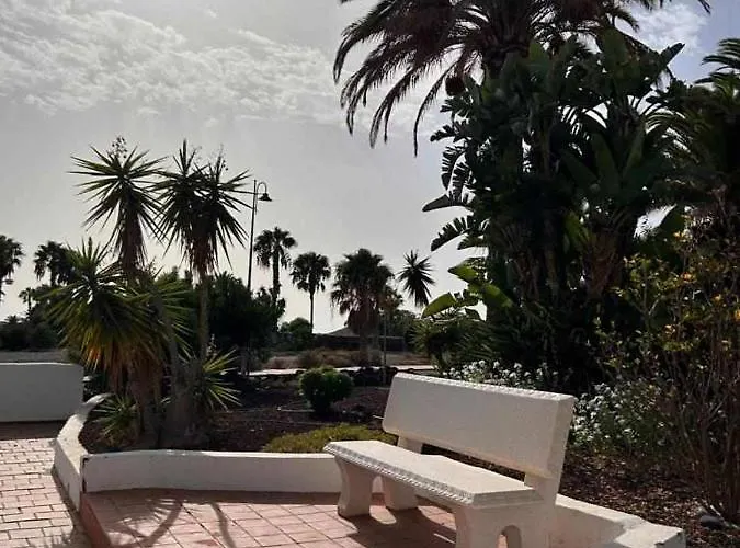 Opuncja * سان ميغيل ذي أبونا