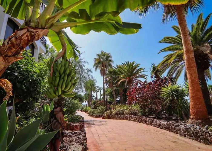 Opuncja Daire San Miguel de Abona