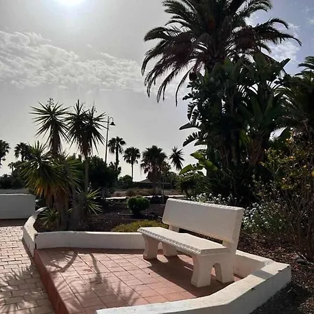 Opuncja * San Miguel de Abona